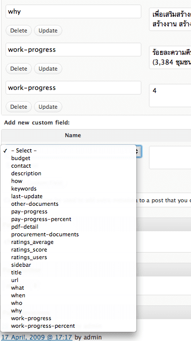 wordpress-2 custom field จำนวนมากสำหรับหน้าโครงการ