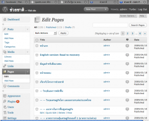 wordpress หน้าตาหลังบ้านของเว็บ ช่วยชาติ.com