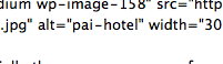 post-11 การใส่ keyword ใน alt ของรูปเอง