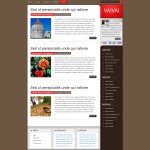 vvs-Basic-brown