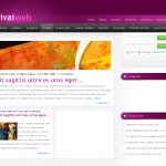 vvs-StudioBlue(purple)