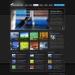 vvs-ePhoto