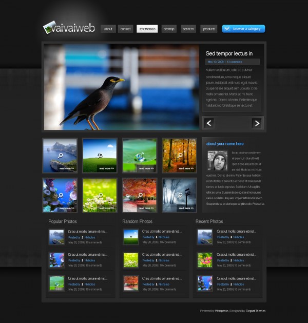 vvs-ePhoto