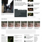 vvs-the_journal