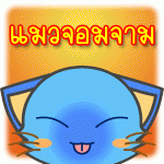 avatar แมว @HudchewMan