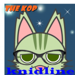 avatar แมว @knidline