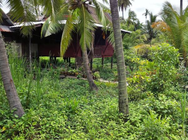 บ้านน้อง admin บรรยากาศดีมากครับ บ้านน้อง admin บรรยากาศดีมากครับ